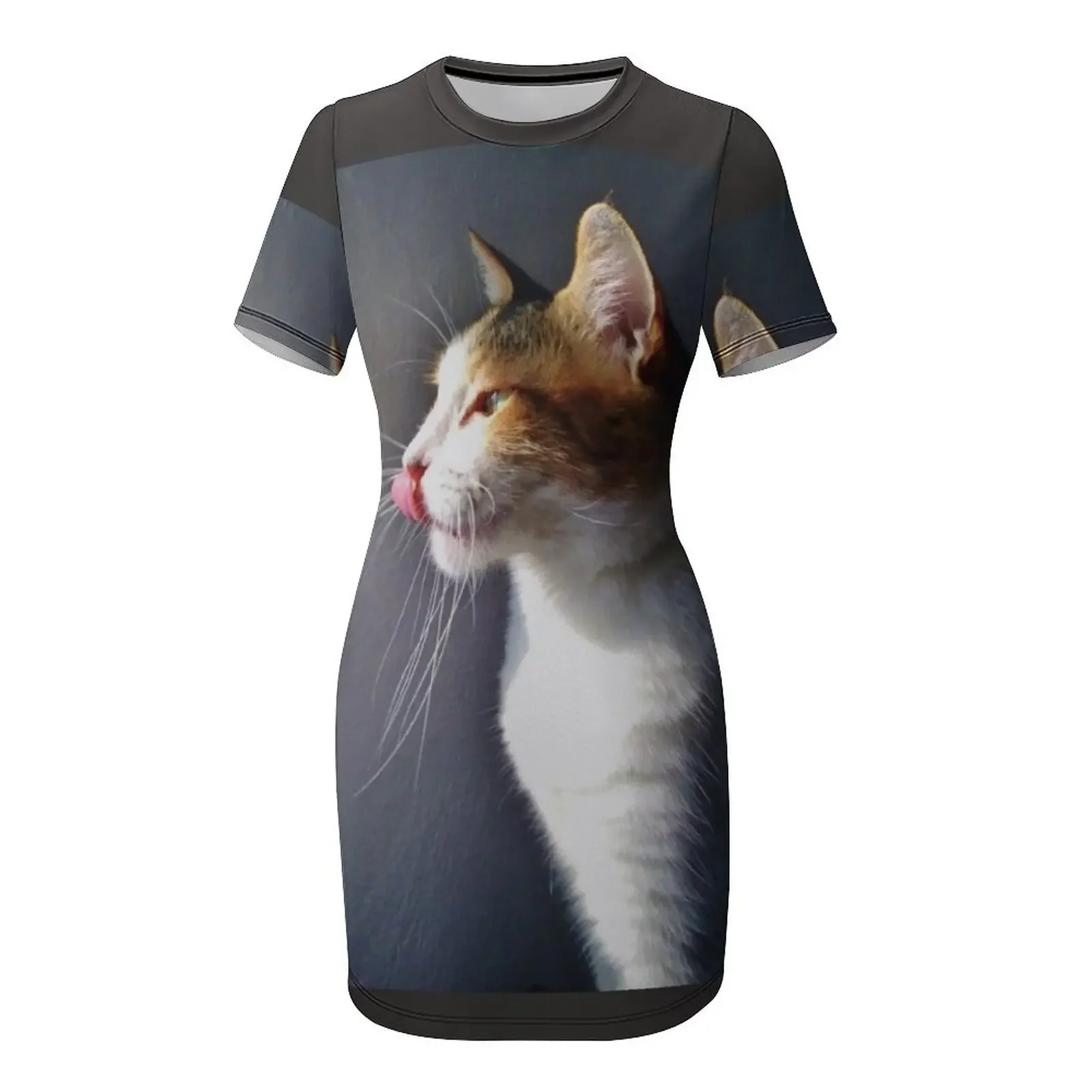 私の友人リリーの猫半袖ドレスサマードレス女性 2026 女性 - Summer Clothing Trends For Women 2026 のレビューと価格